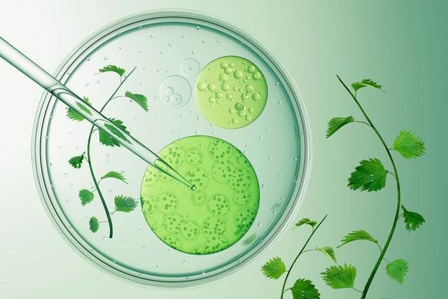 The Chemistry of Comfort: Nature Meets Science in Every SkinSync® Patch